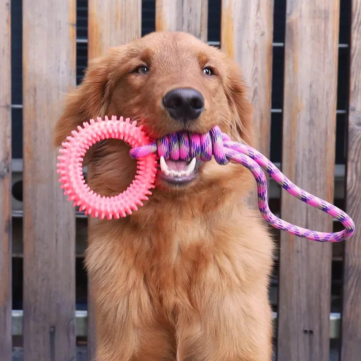 Brinquedo Corda Interativa Para Dog - Lumi Petz